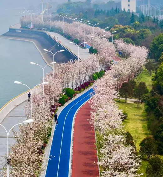 环道