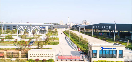 索菲亚领导莅临万华生态板调研考察，展开深度探讨交流-中国建材家居网