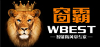 
窗霸
