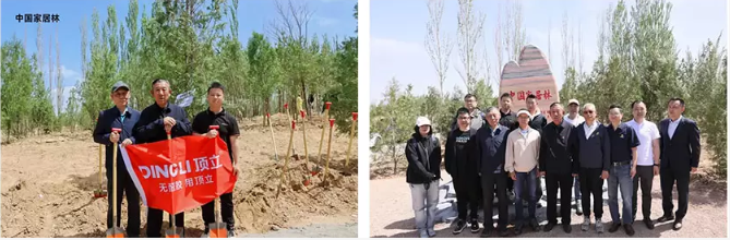 以绿为盟，共筑家园 | 顶立携手企业伙伴共建“中国家居林·宁夏沙漠绿化公益行”活动